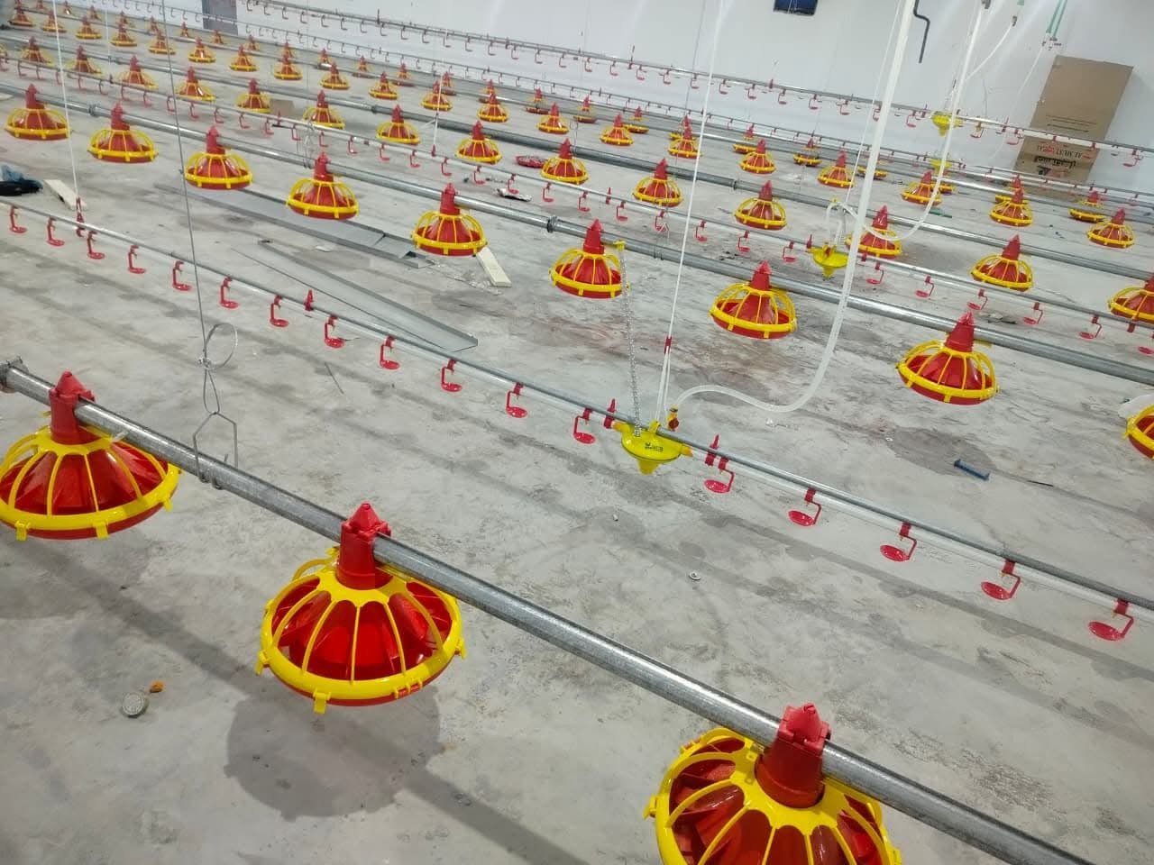 خطوط الشرب والعلف الأوتوماتيكية 